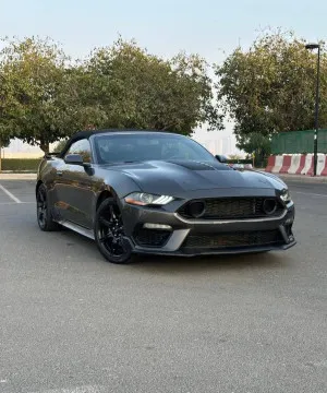 2017 Ford Mustang Shelby GT350