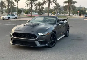 2017 Ford Mustang Shelby GT350