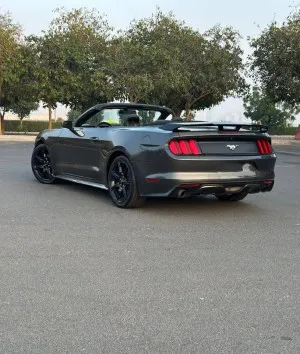 2017 Ford Mustang Shelby GT350