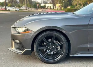 2017 Ford Mustang Shelby GT350