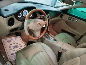 2009 مرسيدس-بنز سي ال اس CLS350
