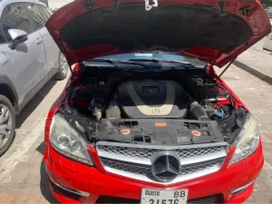 2010 Mercedes-Benz C-Class C300