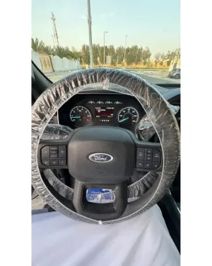 2023 Ford F150 Platinum