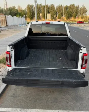 2023 Ford F150 Platinum