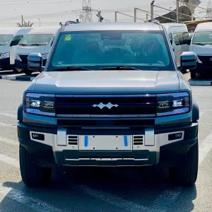 2025 بي واي دي ليوبارد