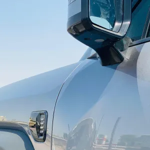 2025 بي واي دي ليوبارد
