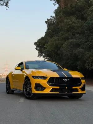 2024 فورد موستانج EcoBoost Premium