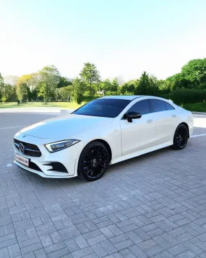 2019 مرسيدس-بنز سي ال اس CLS450