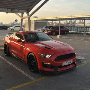 2015 فورد موستانج Shelby GT350