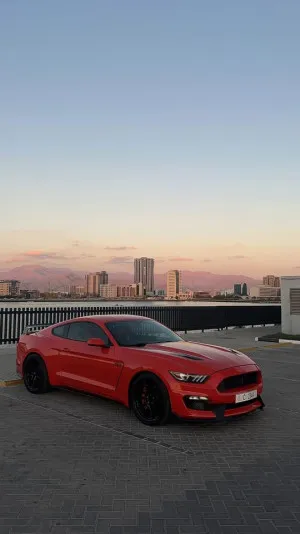 2015 فورد موستانج Shelby GT350