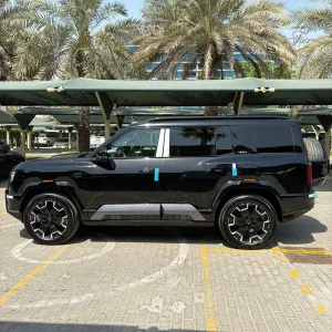 2025 بي واي دي ليوبارد