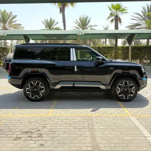 2025 بي واي دي ليوبارد