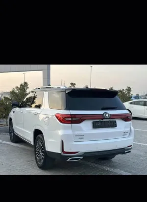 2022 تشانجن سي اس ٩٥