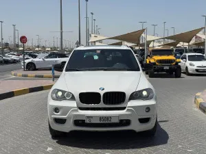 2010 BMW X5 M