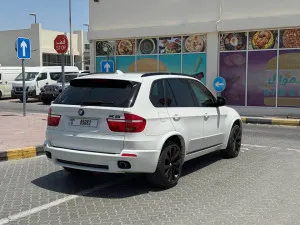 2010 BMW X5 M