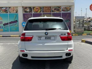 2010 BMW X5 M