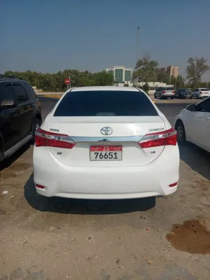 2014 Toyota Corolla GLI