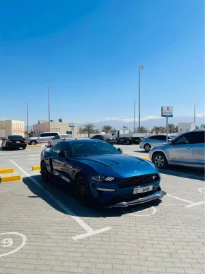 2022 Ford Mustang EcoBoost