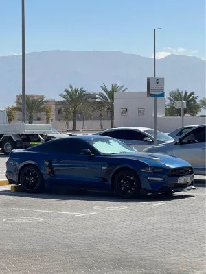 2022 Ford Mustang EcoBoost