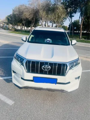 2019 Toyota Prado GXL
