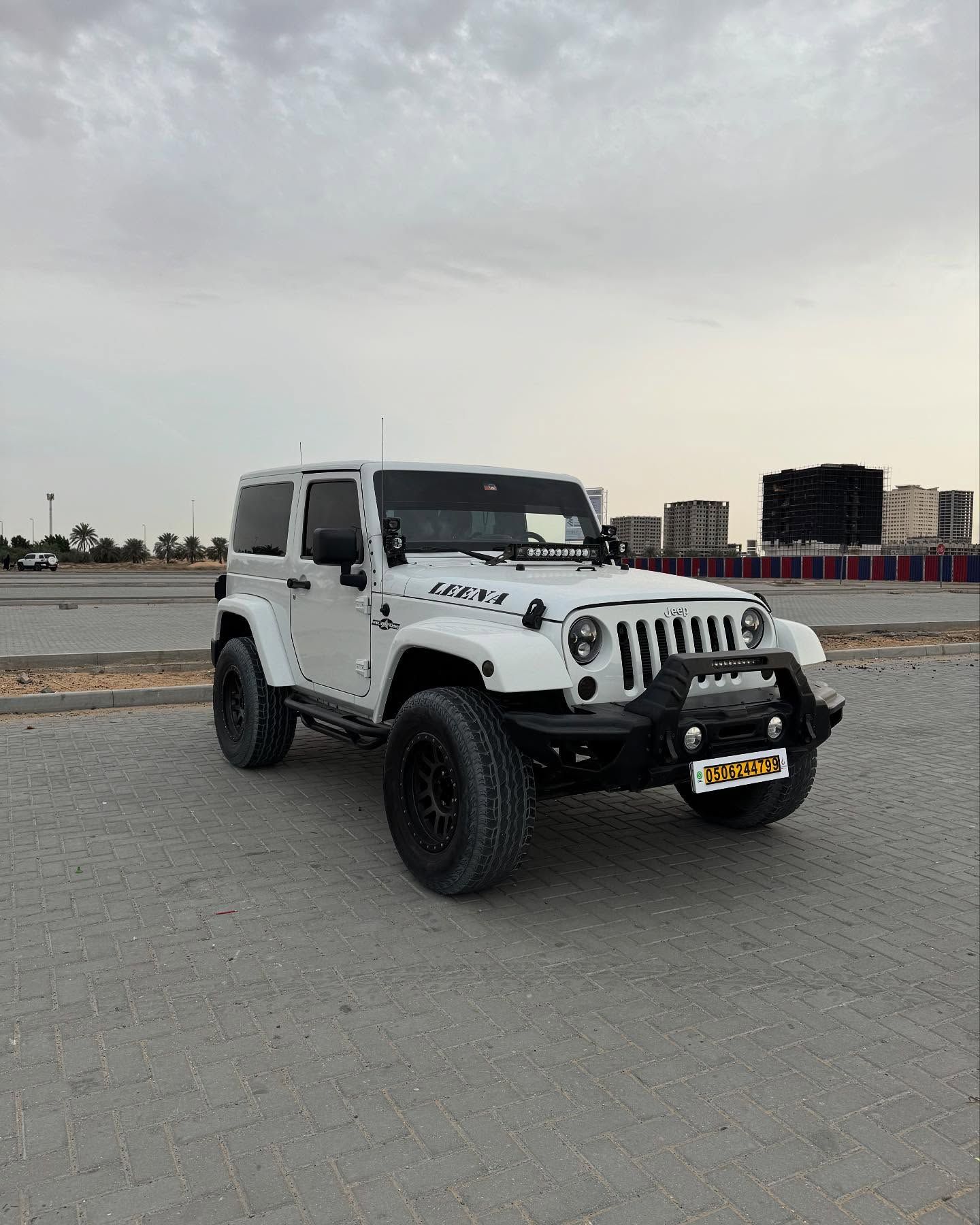 2013 جييب رانجلر Sahara