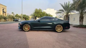 2019 فورد موستانج