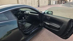 2019 فورد موستانج