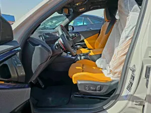 2025 بي أم دابليو اكس - 3 xDrive 35i