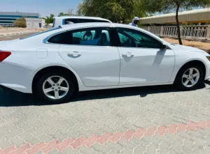 2019 Chevrolet Malibu LT