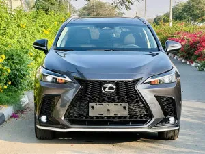 2022 لكزس NX - ان اكس NX250