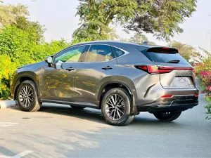 2022 لكزس NX - ان اكس NX250
