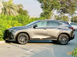 2022 لكزس NX - ان اكس NX250