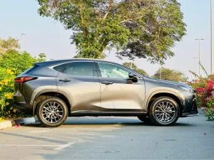 2022 لكزس NX - ان اكس NX250