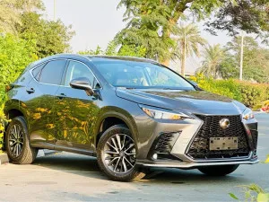 2022 لكزس NX - ان اكس NX250