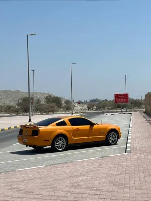 2009 فورد موستانج Shelby GT350
