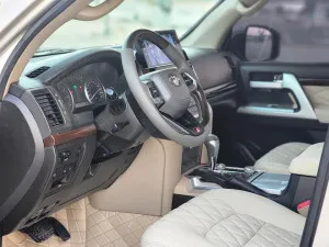 2010 Toyota Land Cruiser GXR