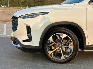 2023 ماكسوس دي ٦٠