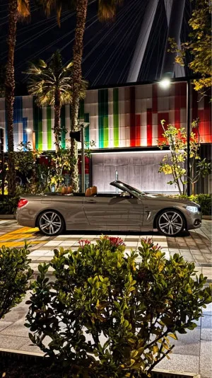 2015 بي أم دابليو الفئة - 4 430i Gran Coupe (Convertible),