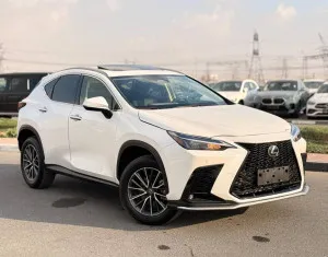 2024 لكزس NX - ان اكس NX250