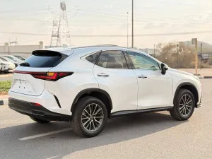 2024 لكزس NX - ان اكس NX250