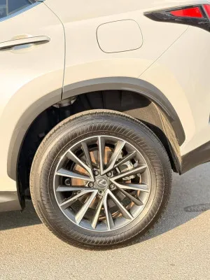 2024 لكزس NX - ان اكس NX250