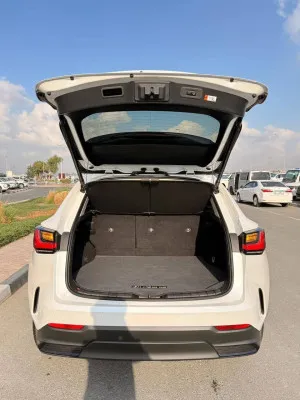 2024 لكزس NX - ان اكس NX250