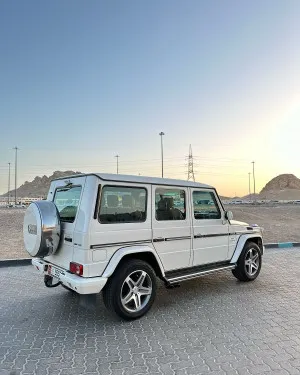 2012 Mercedes-Benz G-Class G500