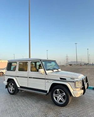 2012 Mercedes-Benz G-Class G500