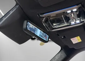 2025 بي واي دي ليوبارد