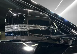 2025 بي واي دي ليوبارد
