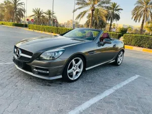 2014 مرسيدس-بنز اس ال كي SLK200