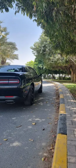 2019 Dodge Challenger R/T