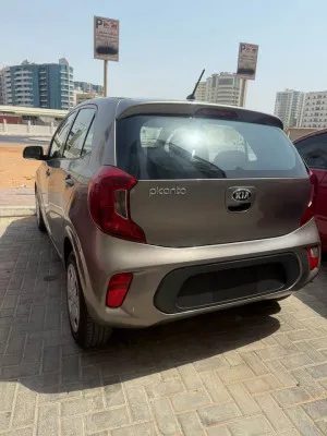 2020 Kia Picanto Comfort
