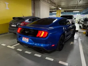 2019 Ford Mustang EcoBoost